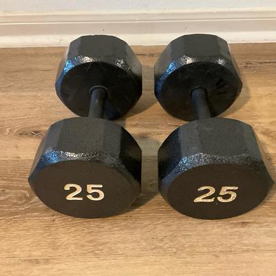 25lb Dumbbells 