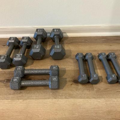 Lightweight Dumbbell Set