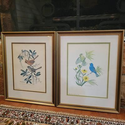 Birds Prints