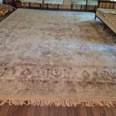 Super Bana Hand Woven Area Rug #2