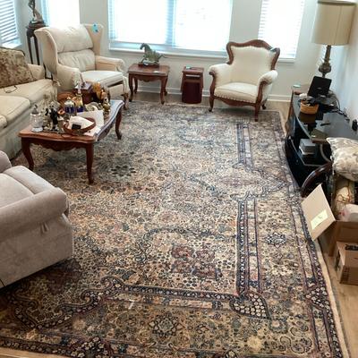 Hand Knotted Area Rug