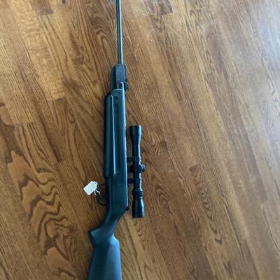 Pellet GUn