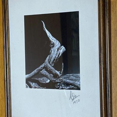 Sale Photo Thumbnail #291