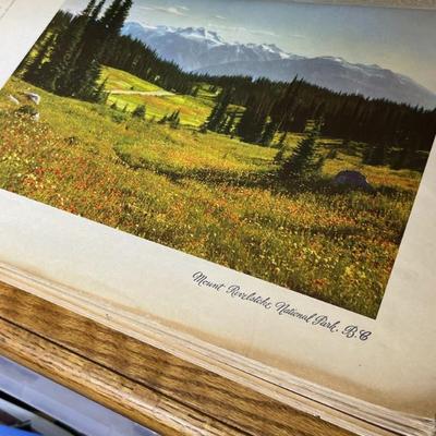Sale Photo Thumbnail #540
