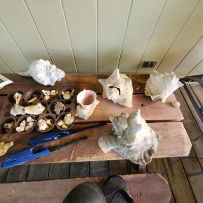 Sale Photo Thumbnail #156