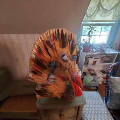Sale Photo Thumbnail #21