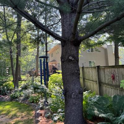 Sale Photo Thumbnail #59
