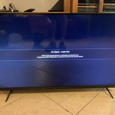 Vizio Flatscreen