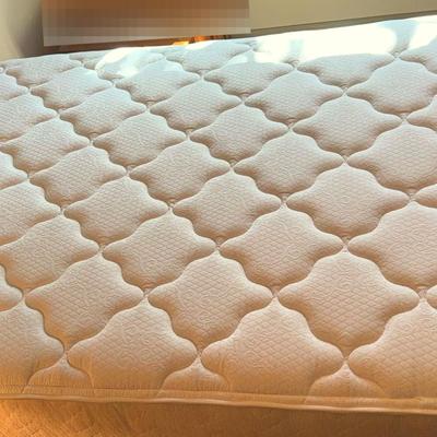 Double/Full Mattress and Box Spring - 53 x 74 x 13