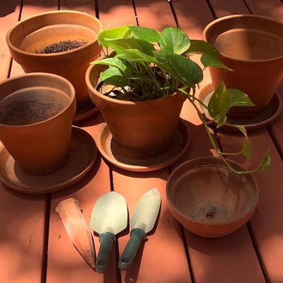 Collection Of Terracotta Pots, Plant And Garden Tools