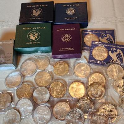 Silver Eagle Coin Collection
