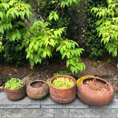 Set of Four Terracotta Garden Planters with Live Plants – Rustic Style