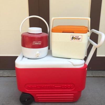 Group of Coolers – Styles from Igloo & Coleman