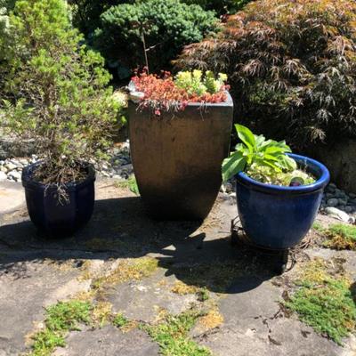 Outdoor Planter Trio - Two Ceramic, One Large Metal Planter & Plants
