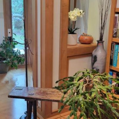 Primitive Bench, Bridge Lamp and Plant