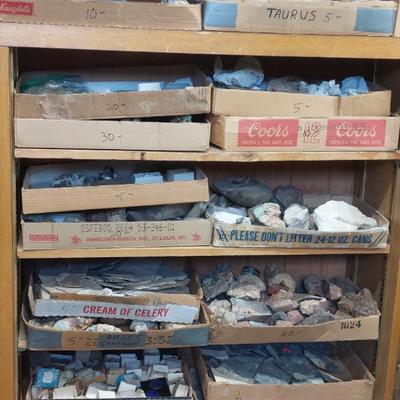 Colorado Amazonite & Fossils