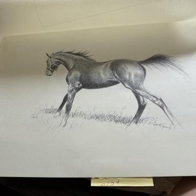 Sale Photo Thumbnail #211