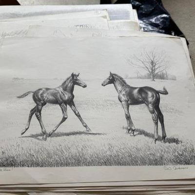 Sale Photo Thumbnail #210