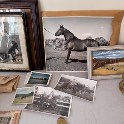 Sale Photo Thumbnail #99