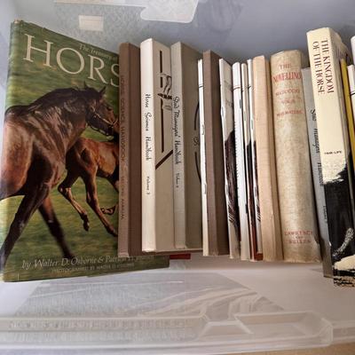 Sale Photo Thumbnail #102