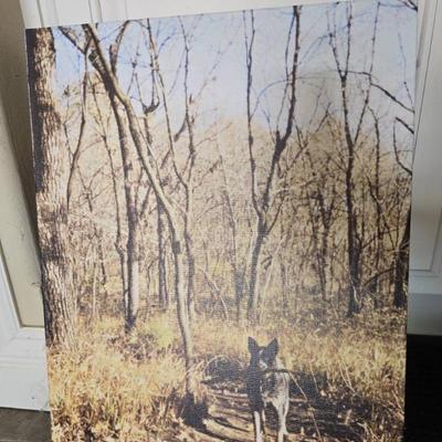Sale Photo Thumbnail #44