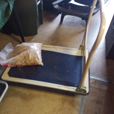 Sale Photo Thumbnail #122: Flat bed dolly