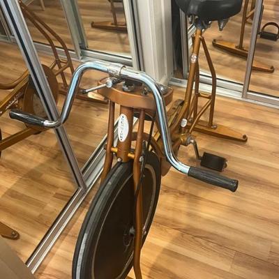 HKM003 Vintage Schwinn Exerciser Bike