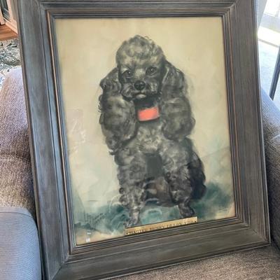 HKM031 - “Master Mickey” Portrait Of A Toy Poodle 