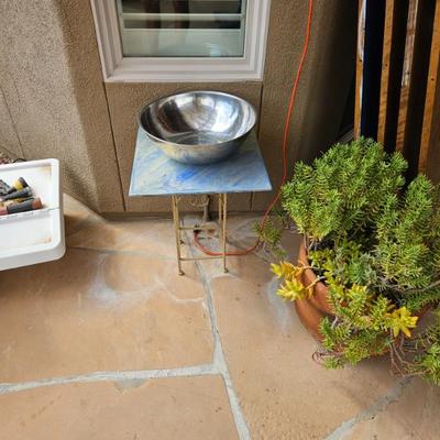 Plants With Pot