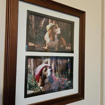 Sale Photo Thumbnail #198