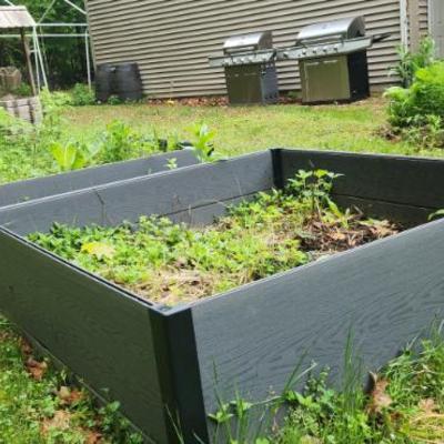Raised garden beds