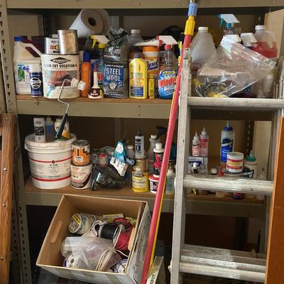 Extendable Ladder With Paint And Chemicals 