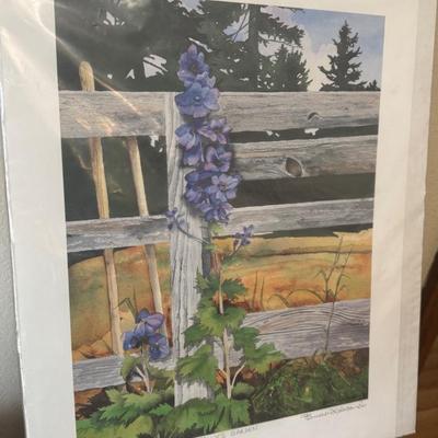 Delphinium Watercolor “Sally’s Garden” By Bruce Edwards With Certificate Of Authenticity 