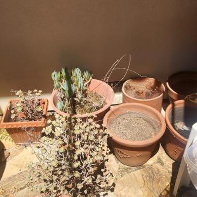 Sale Photo Thumbnail #84