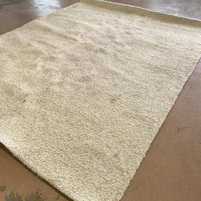 Contemporary Area Rug