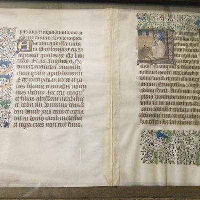 Medieval Illuminated Manuscript Leaf, Latin Text & Illustrations, Framed