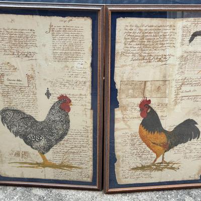 Roosters