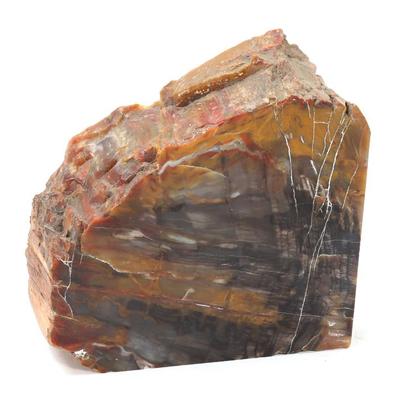 Sale Photo Thumbnail #226: Lot 226 petrified wood bookend section