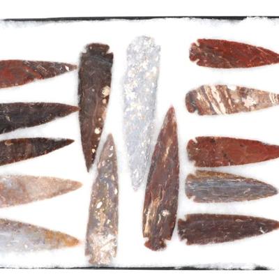 Sale Photo Thumbnail #29: Lot 29 fantastic group of 14 spear arrowheads