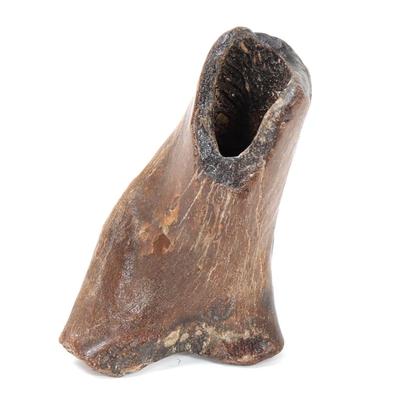 Sale Photo Thumbnail #228: Lot 228 ancient fossilized dinosaur bone