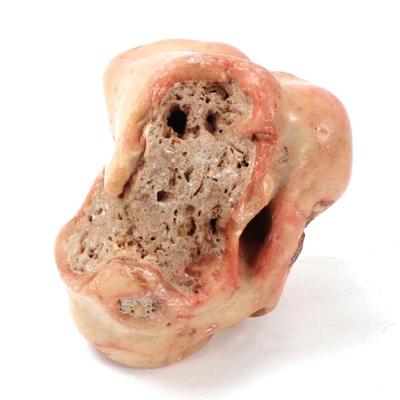 Sale Photo Thumbnail #213: Lot 213 beautiful section of raw pink coral