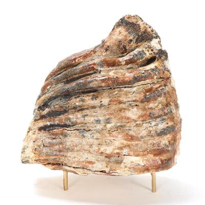 Sale Photo Thumbnail #250: Lot 250 large wooly mammoth tooth on stand