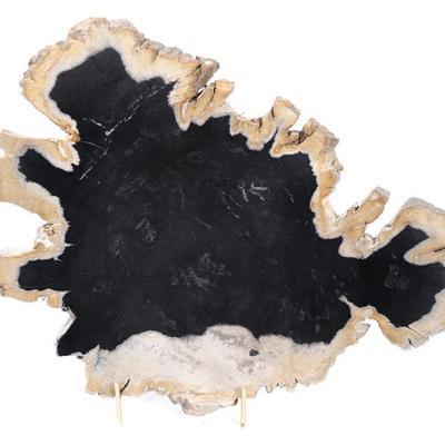 Sale Photo Thumbnail #246: Lot 246 petrified wood specimen with deep black core