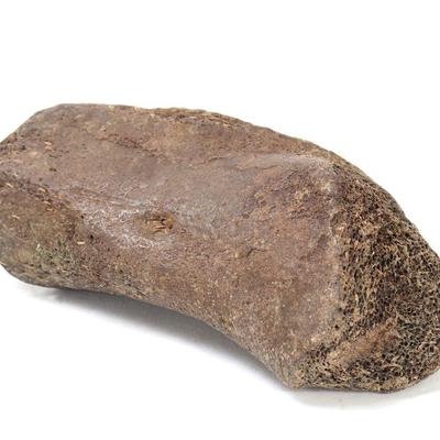 Sale Photo Thumbnail #236: Lot 236 wonderful ancient fossilized dinosaur bone