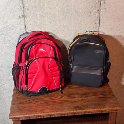 (2) Computer Backpacks