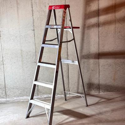 Davidson Six Foot Ladder 