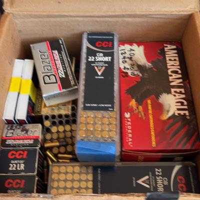 Assorted Ammunition #1