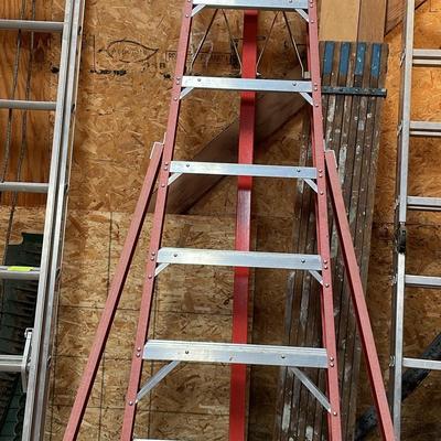 Orchard Ladder 14'