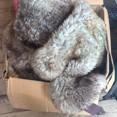 Sheep Skins 
