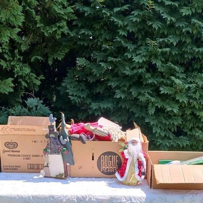 Mystery Lot Of Holiday Items